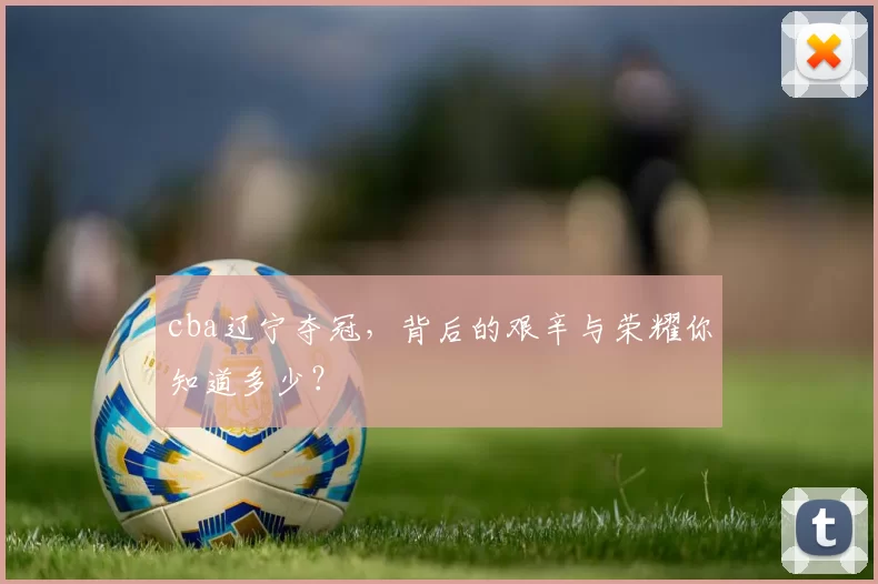 cba辽宁夺冠，背后的艰辛与荣耀你知道多少？