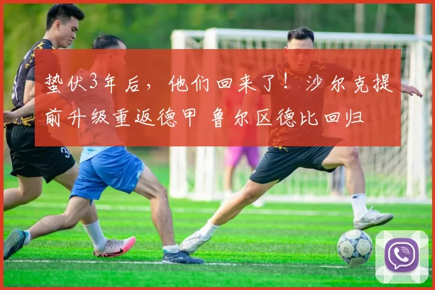 蛰伏3年后，他们回来了！沙尔克提前升级重返德甲 鲁尔区德比回归