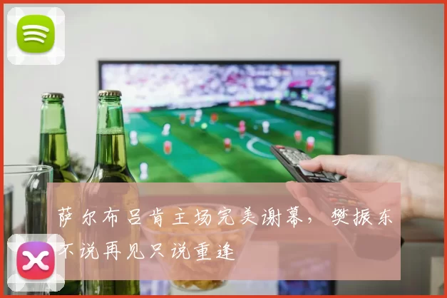 萨尔布吕肯主场完美谢幕，樊振东不说再见只说重逢